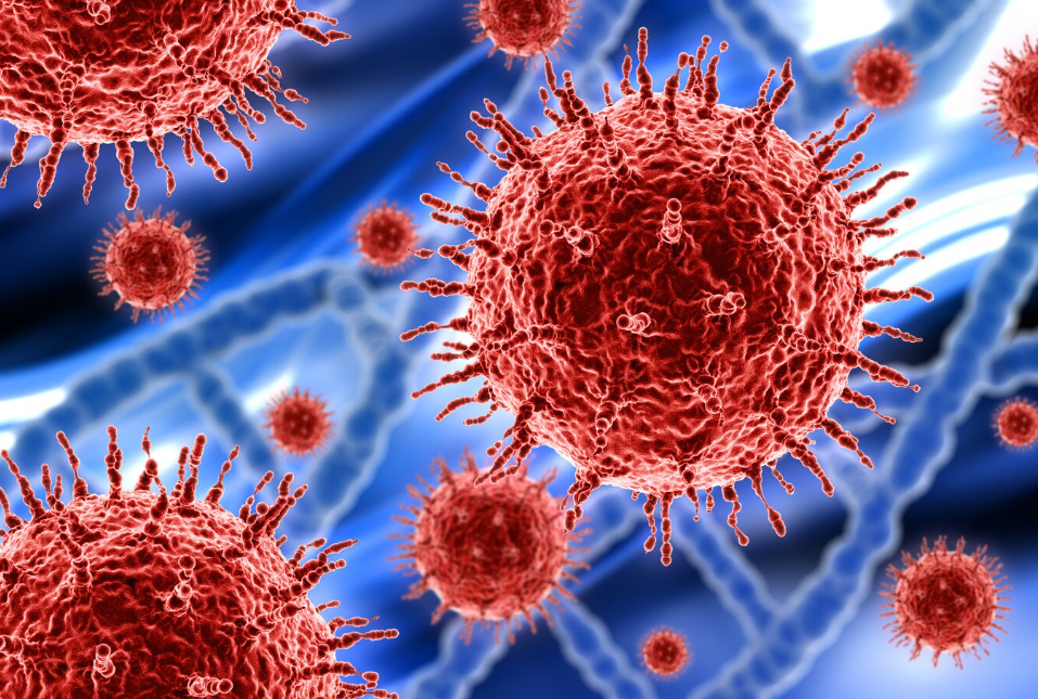 HPV Belirtileri ve Tedavi Yöntemleri Rahim Ağzı Kanseri Riski