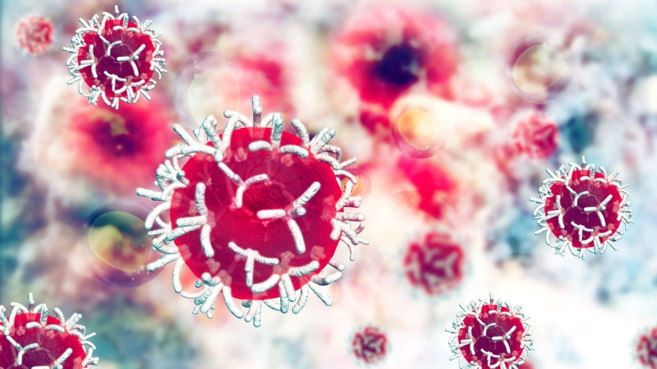 rahim ağzı kanseri