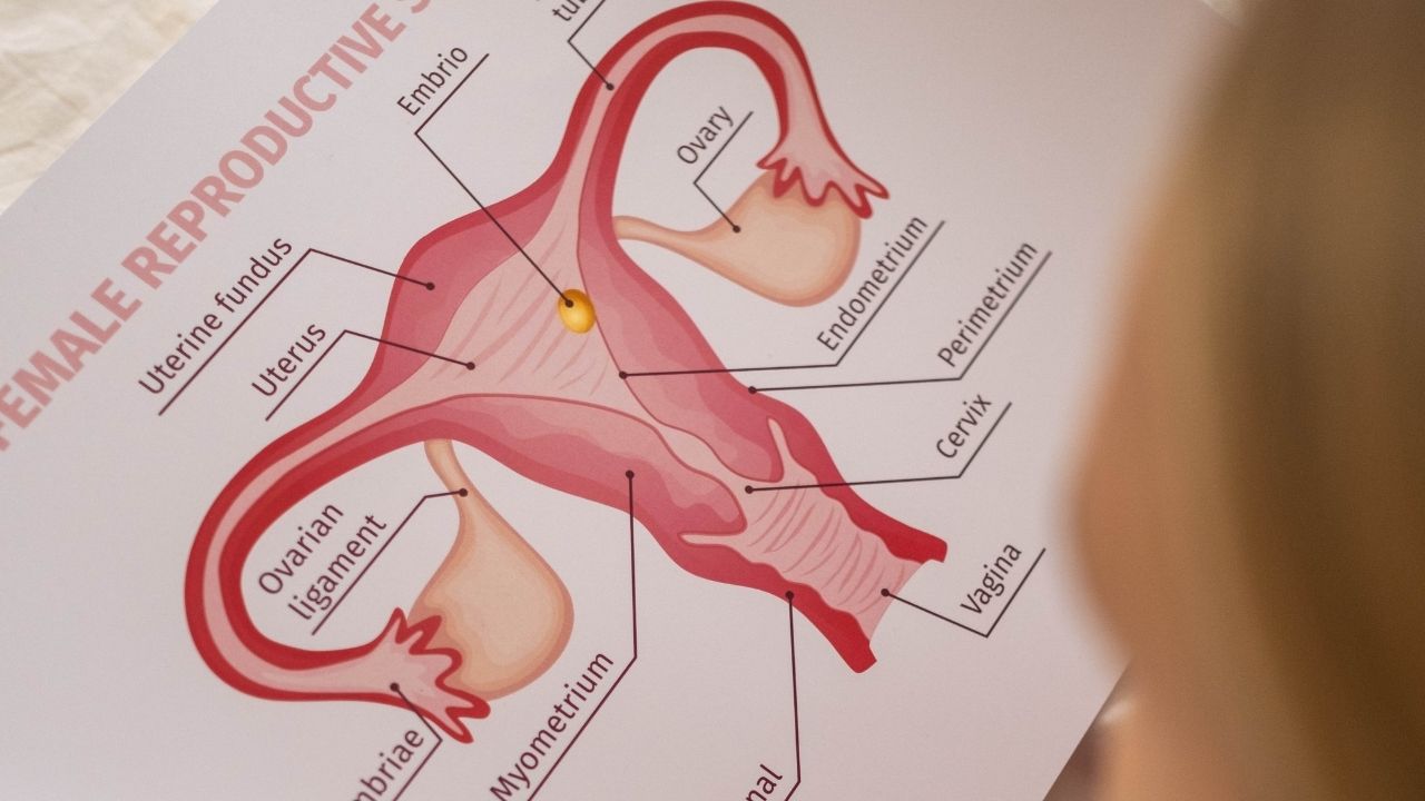 Vajinada Batma Hissi